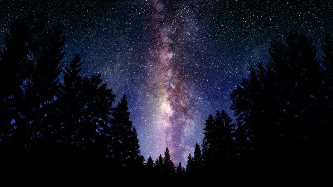 Galaxy on the woods