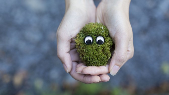 Eyed moss