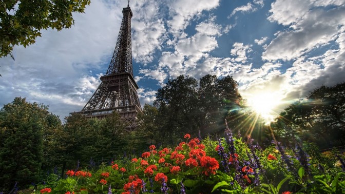 Eiffel tower trees